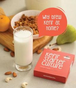 Kefir Starter VS Kefir Grains
