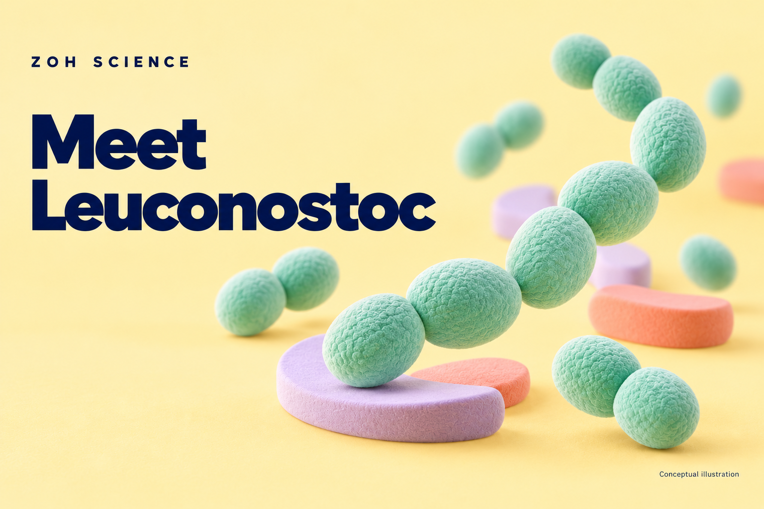 Zoh Science illustrated cover: leuconostoc