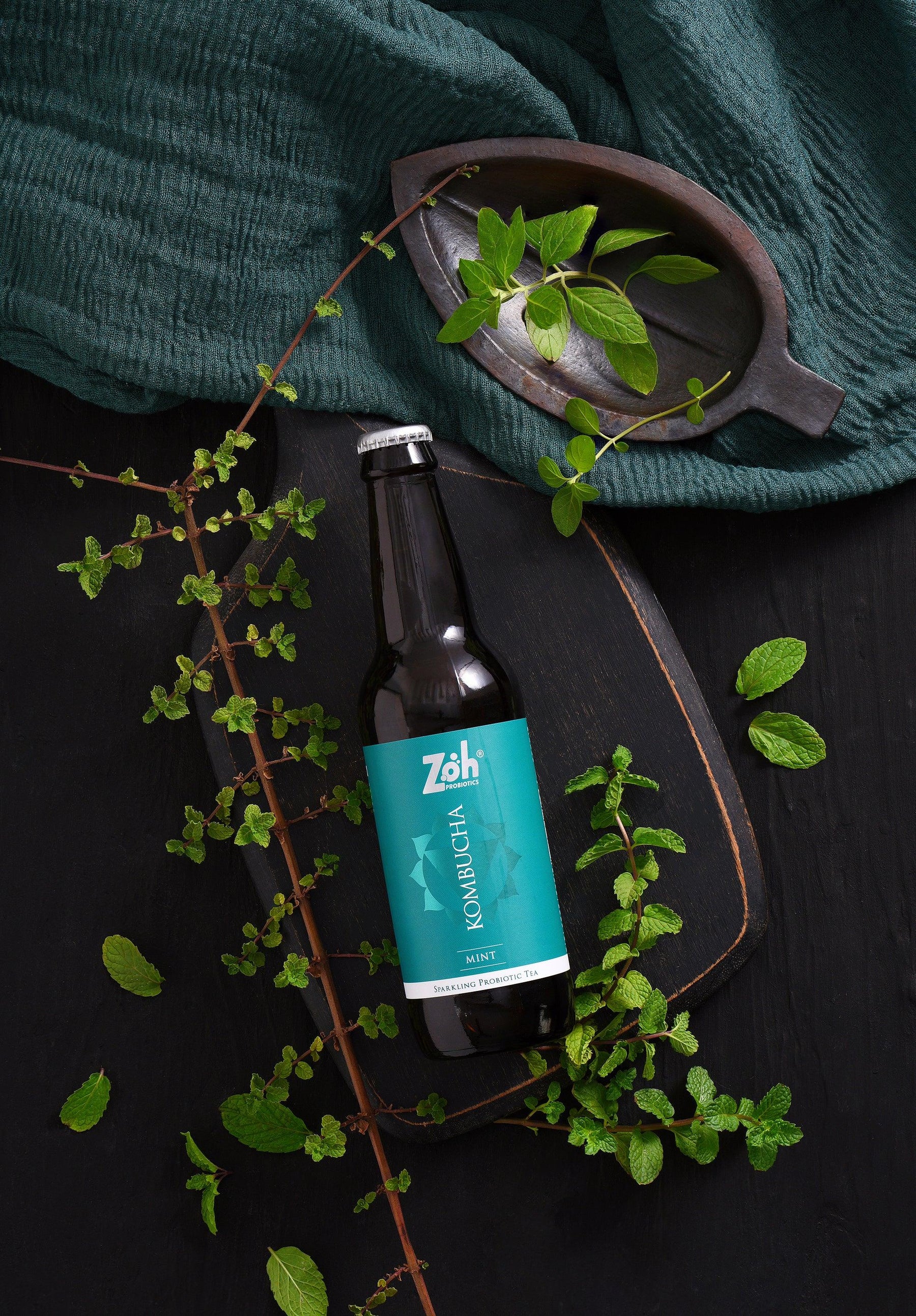 Vegan Kombucha Sampler Pack: Discover 9 Probiotic Flavors | Zoh Probiotics - Zoh Probiotics