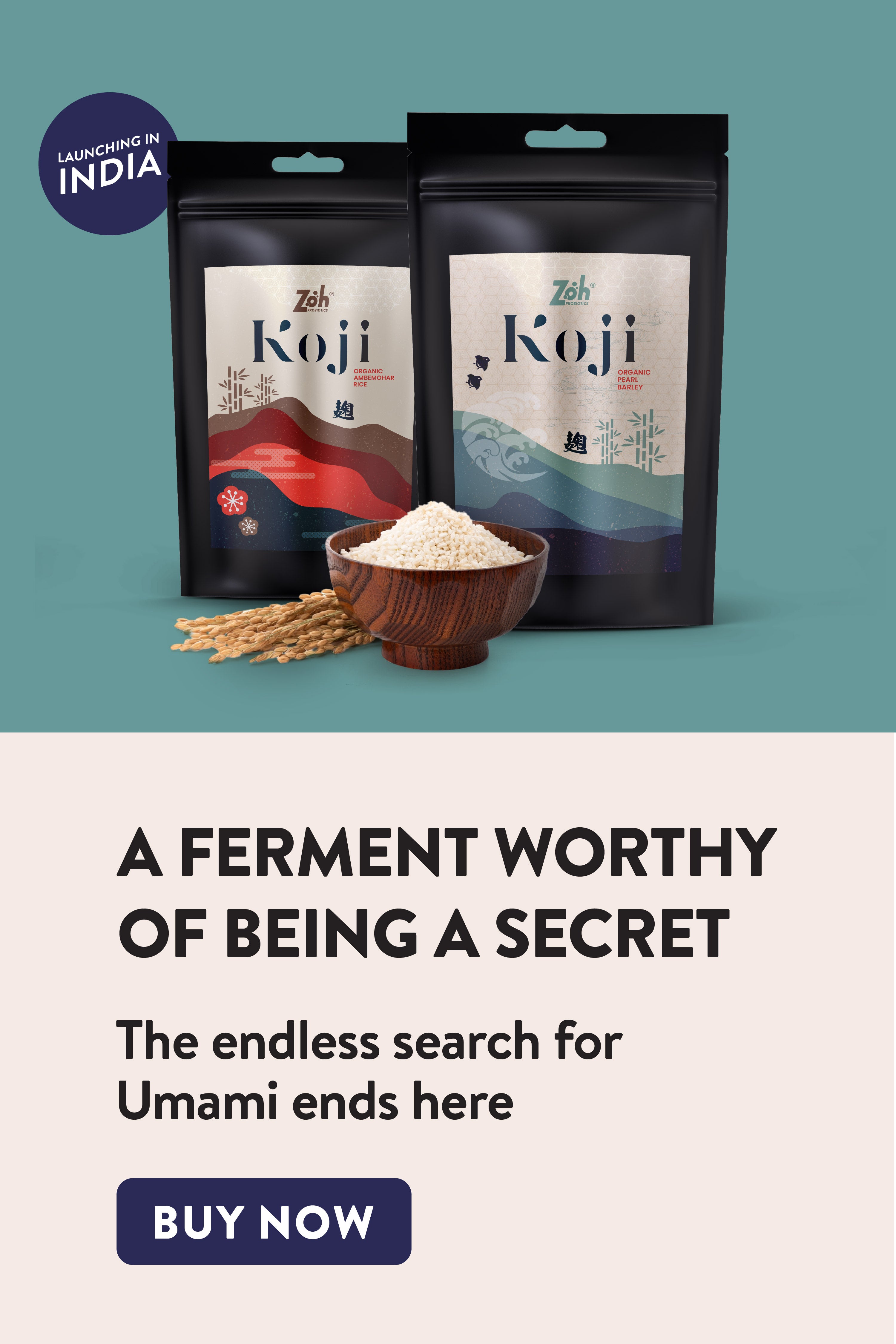 Web_banners_-_Portrait-04 - Zoh Probiotics