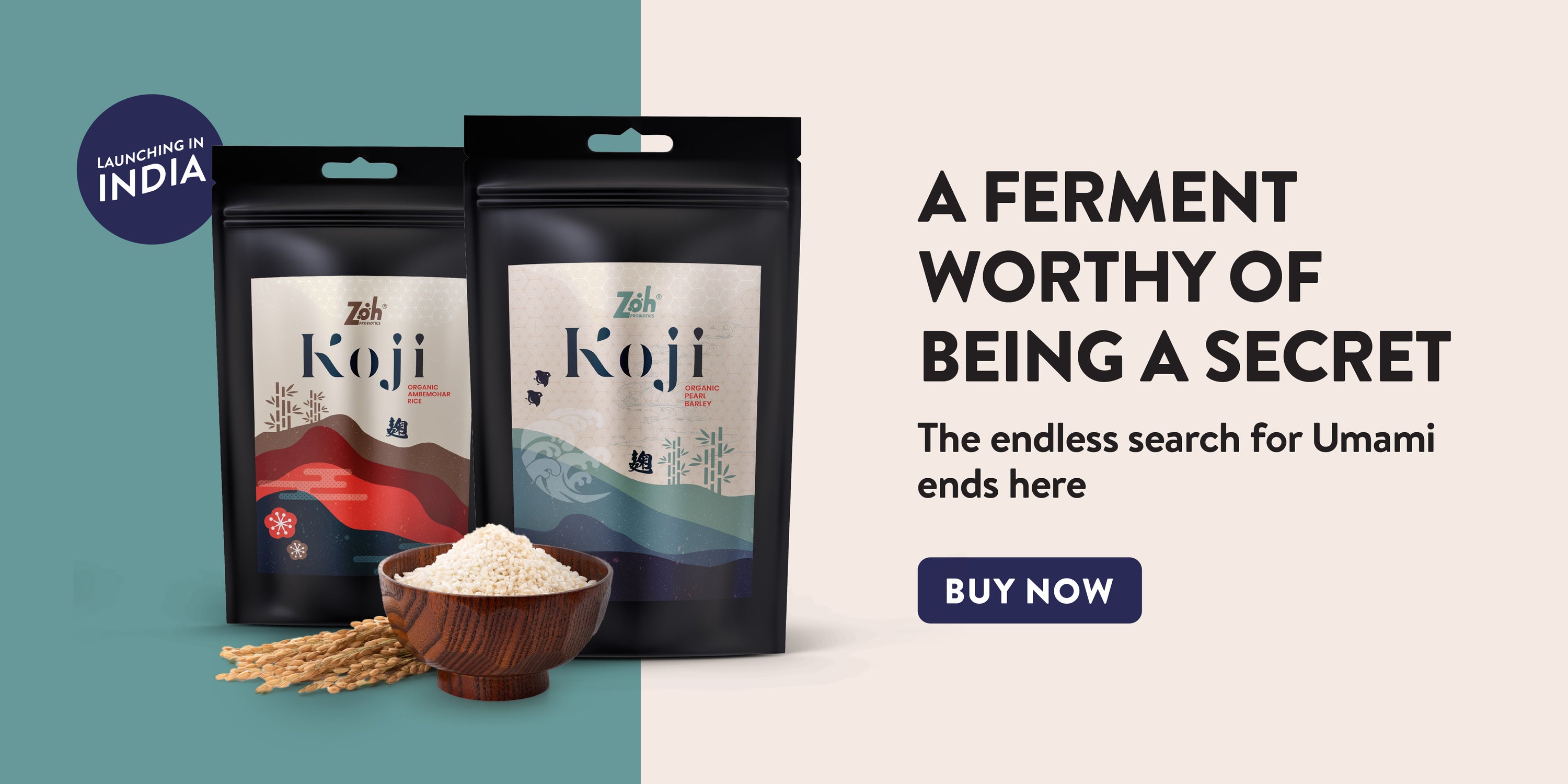 Website_Banners_collection-01 - Zoh Probiotics