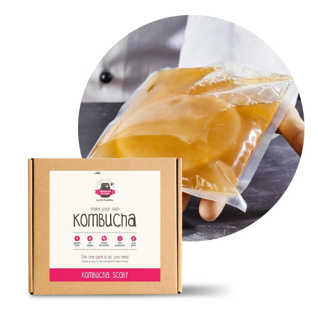 Kombucha SCOBY starter culture by Zoh Probiotics for authentic Indian brewing
