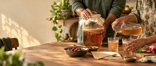 Kombucha SCOBY
