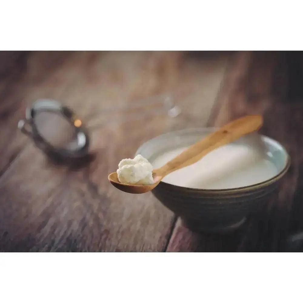 Kefir: Unleashing the Secret of This Probiotic Superfood Zoh Probiotics