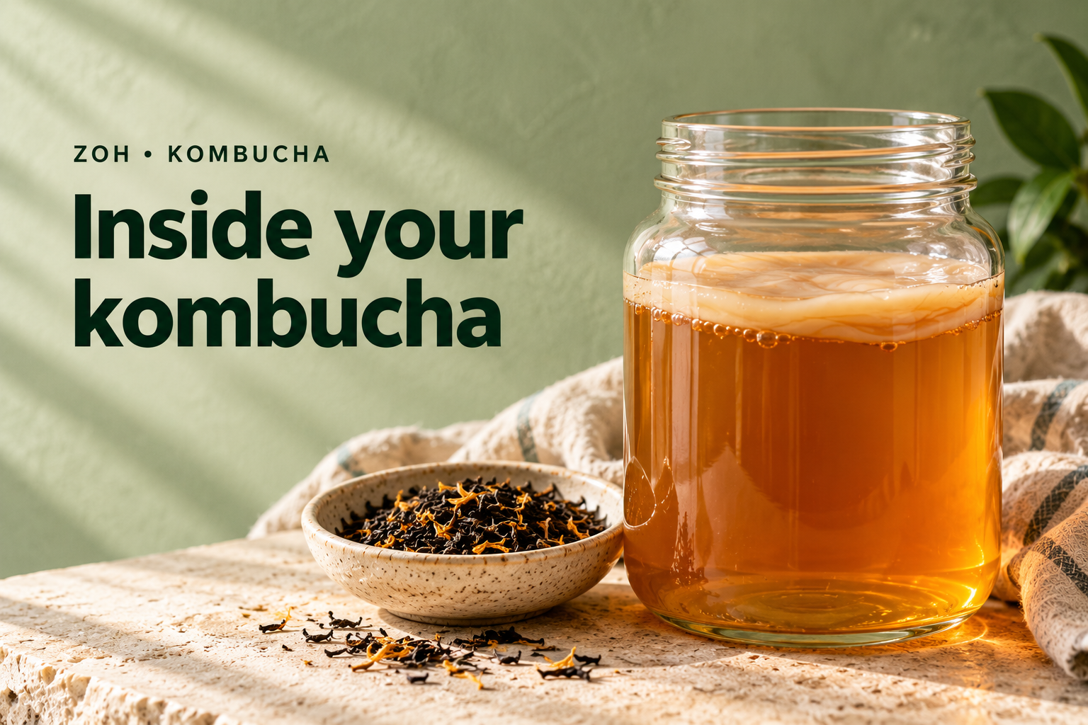 Kombucha Bacteria and Yeast: What Happens Inside Your Jar?