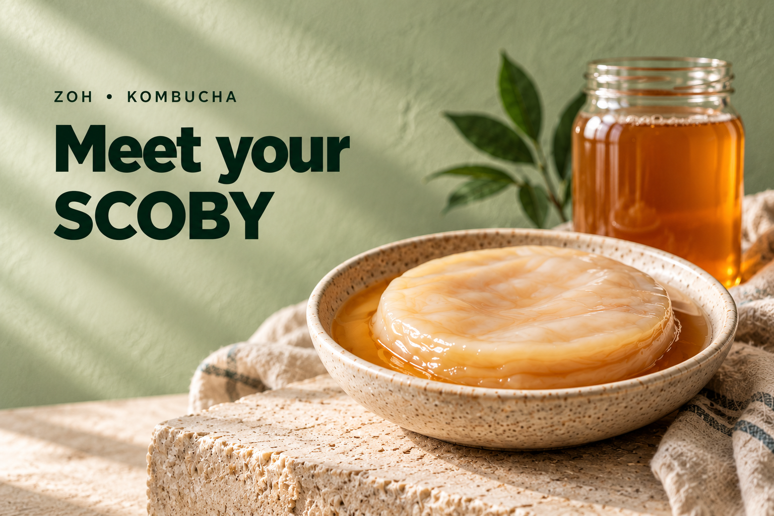 Kombucha SCOBY Guide: Buying, Using and Caring for Your Culture