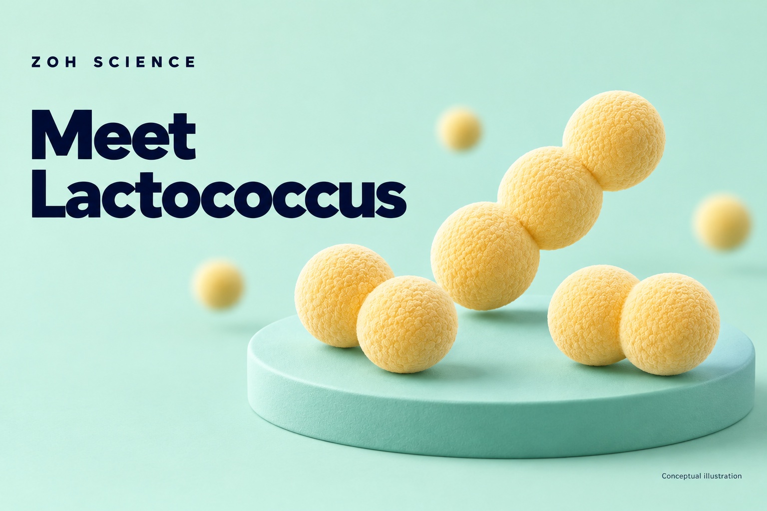 Zoh Science illustrated cover: lactococcus