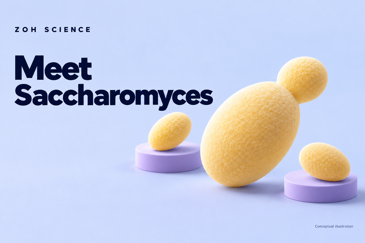 Zoh Science illustrated cover: saccharomyces