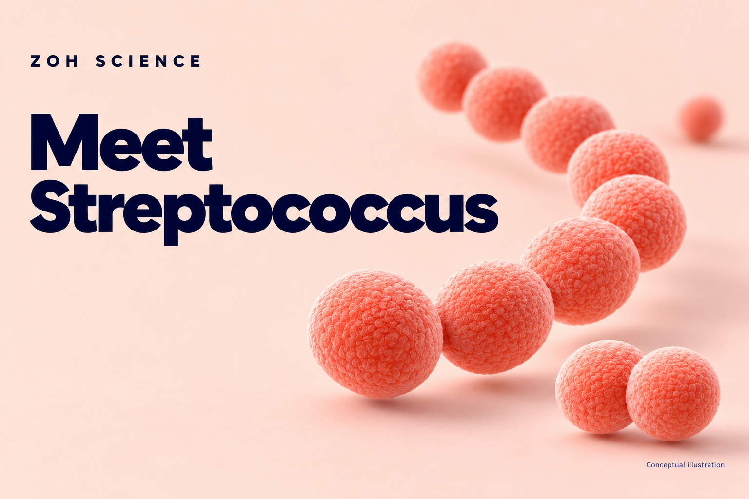 Zoh Science illustrated cover: streptococcus
