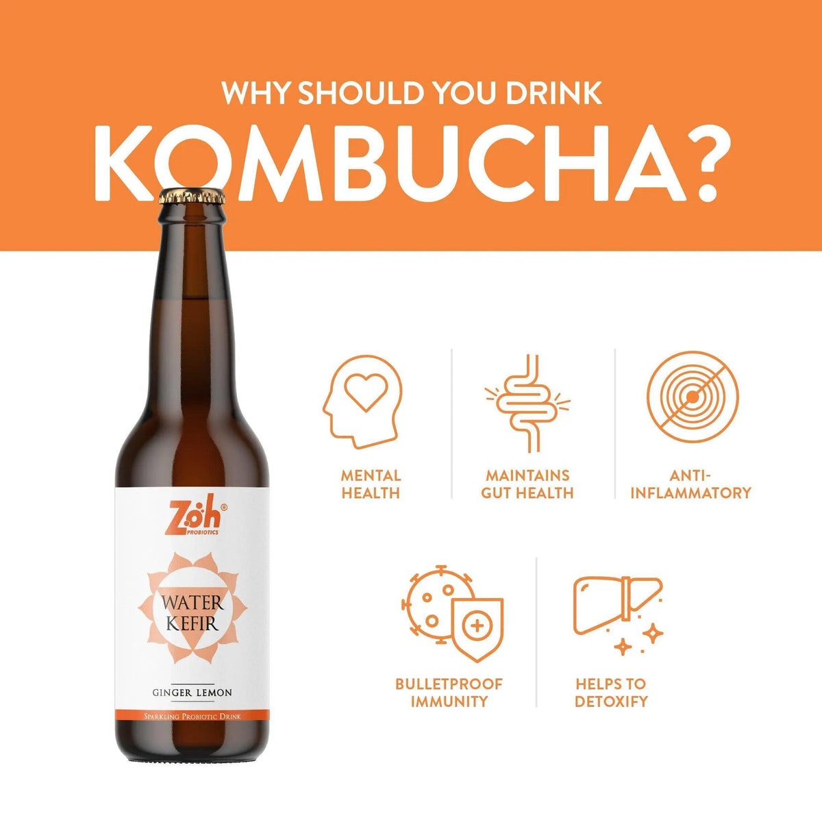 Ginger Lemon Water Kefir by Zoh: Mental Balance, Gut Support, Anti-Inflammatory, Immune Enhancing, Detoxifying, Best in India