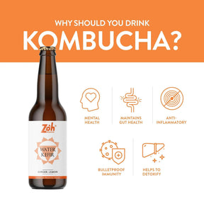 Ginger Lemon Water Kefir by Zoh: Mental Balance, Gut Support, Anti-Inflammatory, Immune Enhancing, Detoxifying, Best in India