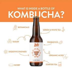 Zoh Ginger Lemon Water Kefir: Refreshing Botanicals, Probiotics, Organic Acids, Hydration & Digestion India