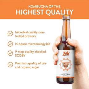 Quality Ginger Lemon Water Kefir by Zoh: Microbial Quality Assurance, 9-Step Checked, Premium Organic Ingredients - Hydrating & Digestive Support, India