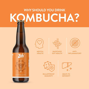 Kashmiri Kahwa Kombucha Health Advantages by Zoh: Mind Health, Gut Support, Inflammation Control, Immune Defense, Detoxification, India