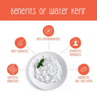 Water kefir grains and fermented drink infographic by Zoh Probiotics