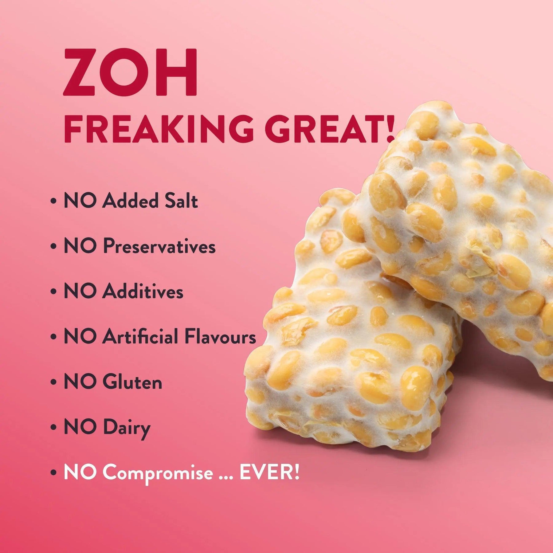 Bulk tempeh Zoh Peri Peri, No Salt, No Gluten, No Dairy - Purely Great in Mumbai