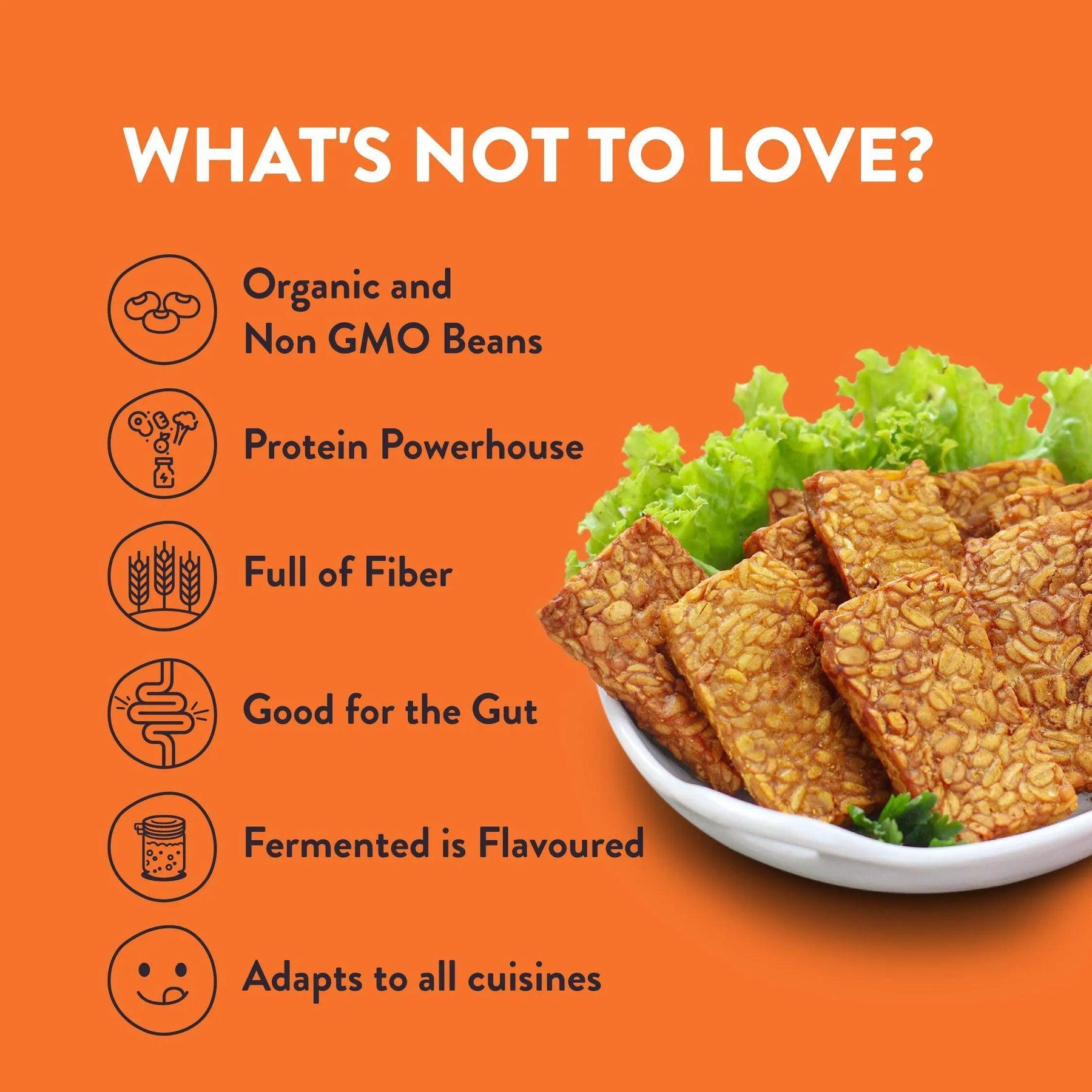Tempeh Sampler Pack of 5 - Zoh Probiotics