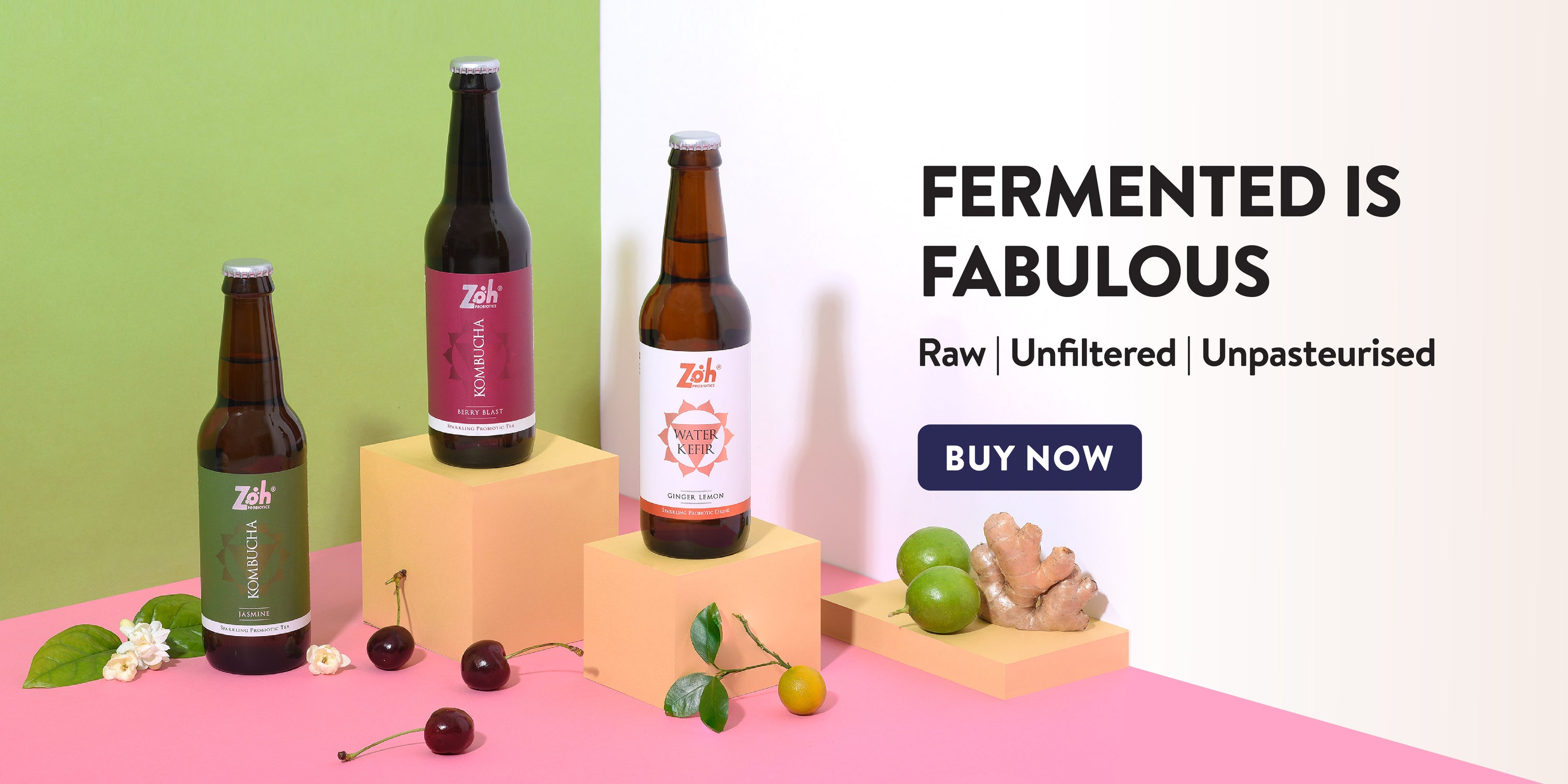Website_Banners_collection_2-01 - Zoh Probiotics