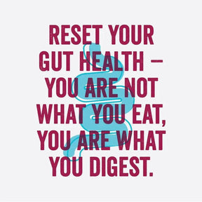 Reset your gut health with berry blast Zoh Kombucha, digestive health in India