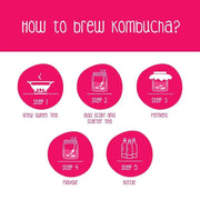 Zoh Probiotics Kombucha SCOBY starter culture for home kombucha brewing