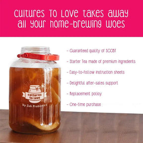 Zoh Probiotics Kombucha SCOBY: Brew Your Own Delicious & Health-Packed Kombucha At Home culturestolovein