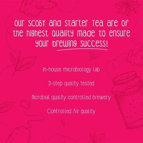 High-Quality Kombucha SCOBY and Starter Tea by Zoh Probiotics with In-house Microbiology Lab