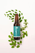 Mint Kombucha | Raw & Unpasteurised | Zoh Probiotics