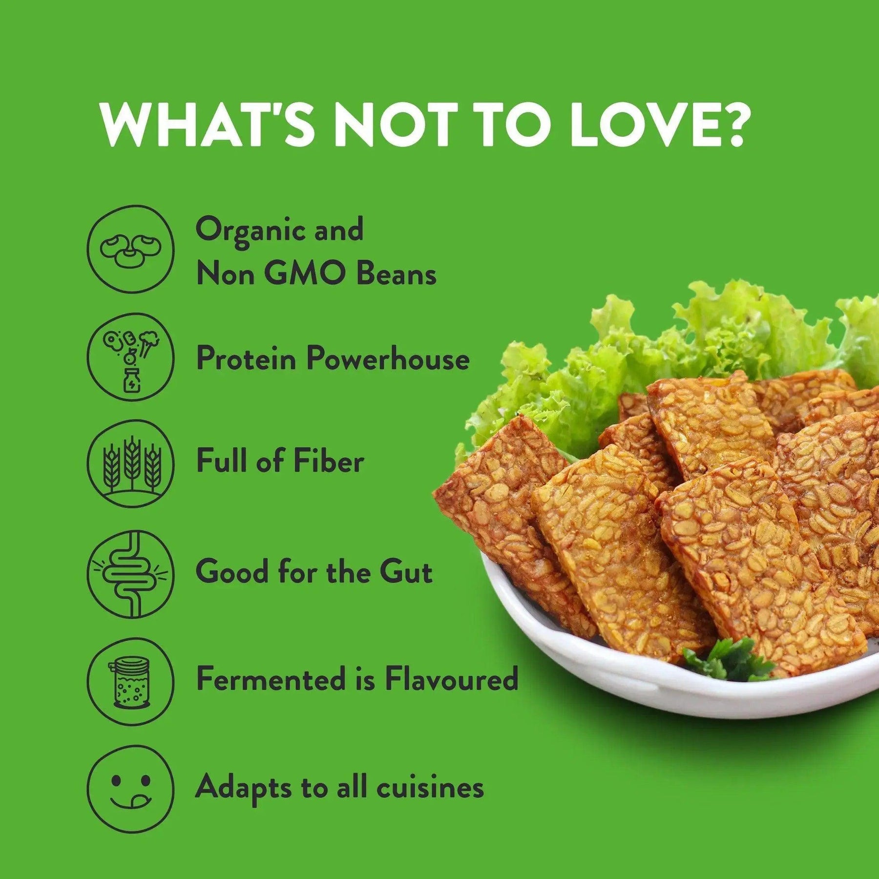 Love bulk tempeh in Mumbai: Zoh Plain Soybean, organic, non-GMO, protein, fiber, gut-friendly, globally adaptable cuisine
