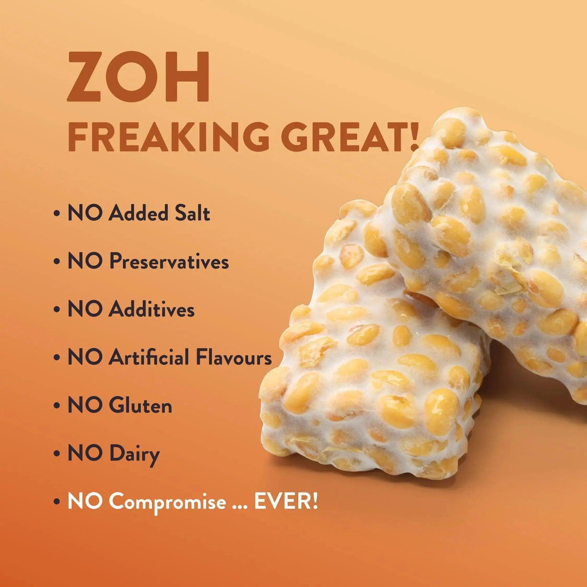 Bulk tempeh Zoh Smoky Barbeque, No Salt, No Gluten, No Dairy - Purely Great in Mumbai