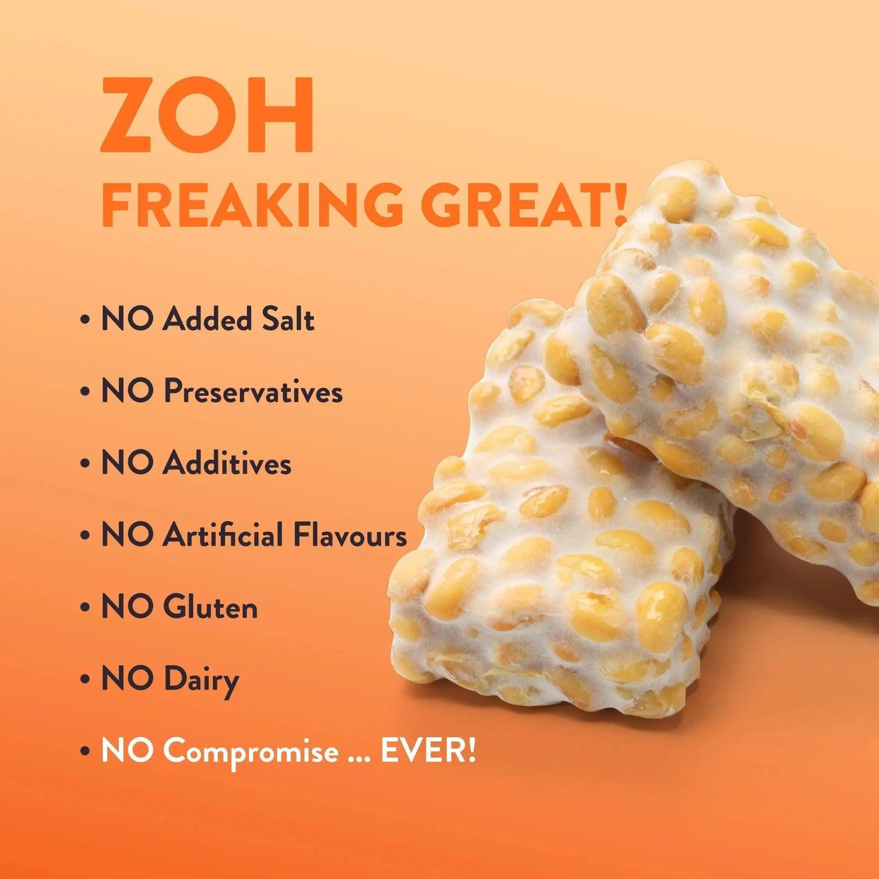 Bulk tempeh Zoh Tandoori, No Salt, No Gluten, No Dairy - Purely Great in Mumbai