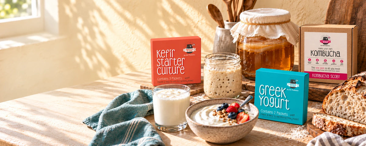 Zoh square starter culture packs with active ferments in a sunlit kitchen