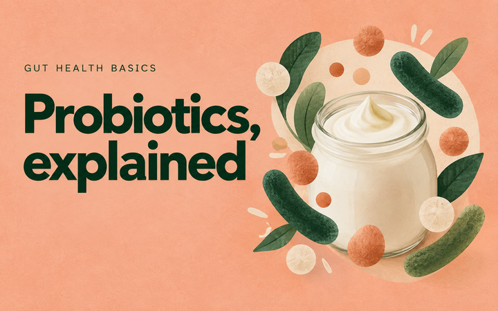 Probiotics, explained — gut health basics