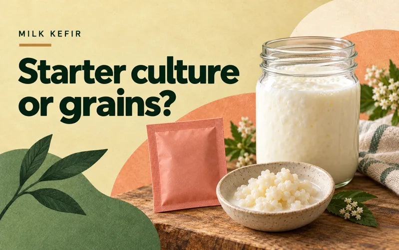Starter culture or milk kefir grains: an illustrated guide
